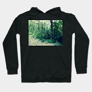 Swung Hoodie